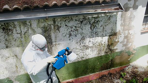 Trusted Mold Inspection service in Marlton, NJ - Cheap Mold Removal